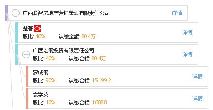 廣西聯(lián)智房地產(chǎn)營銷策劃有限責(zé)任公司 專業(yè)賦能，智領(lǐng)房地產(chǎn)營銷新篇章