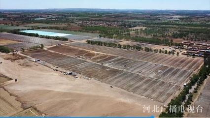 河北省級農(nóng)業(yè)示范區(qū)步入建設(shè)新階段，計(jì)算機(jī)網(wǎng)絡(luò)工程助力鄉(xiāng)村振興