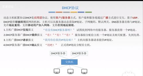 計算機網絡應用層核心概念 從CS/P2P模型到Web與域名服務